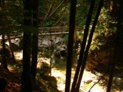 2013-07-20_Regina-F-Rau_Kochel-Rabenkopf (155).JPG